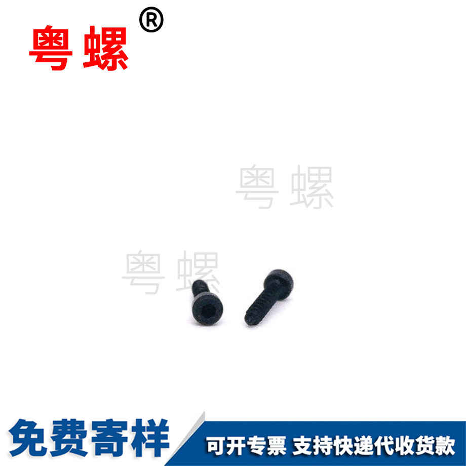 批發(fā)杯頭內(nèi)角楚雄自攻螺絲