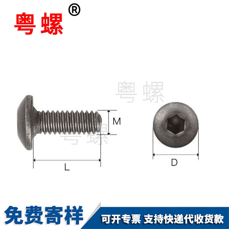 臨滄鈦合金螺釘