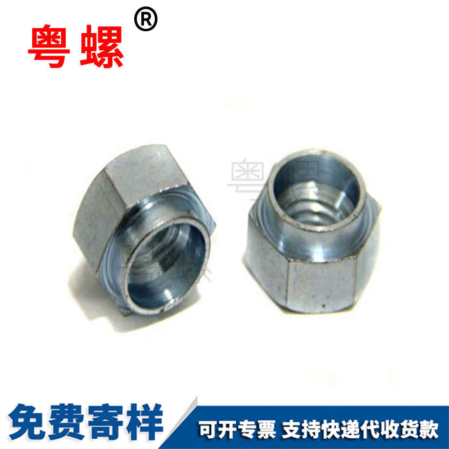 非標(biāo)昌都臺(tái)階螺母