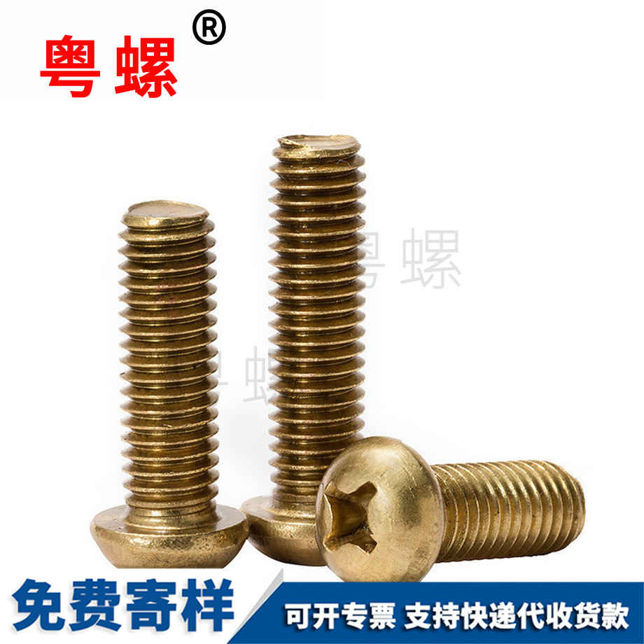 生產(chǎn)臨滄銅螺絲