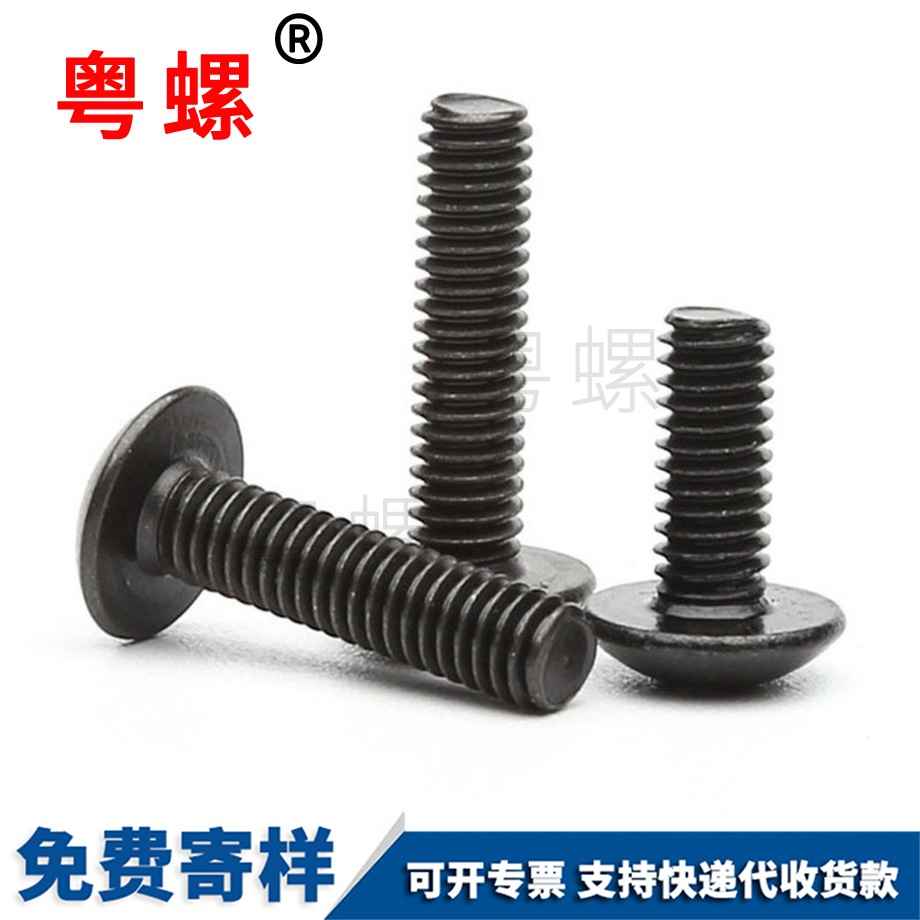 加工鐵黑色秦皇島大扁頭螺絲