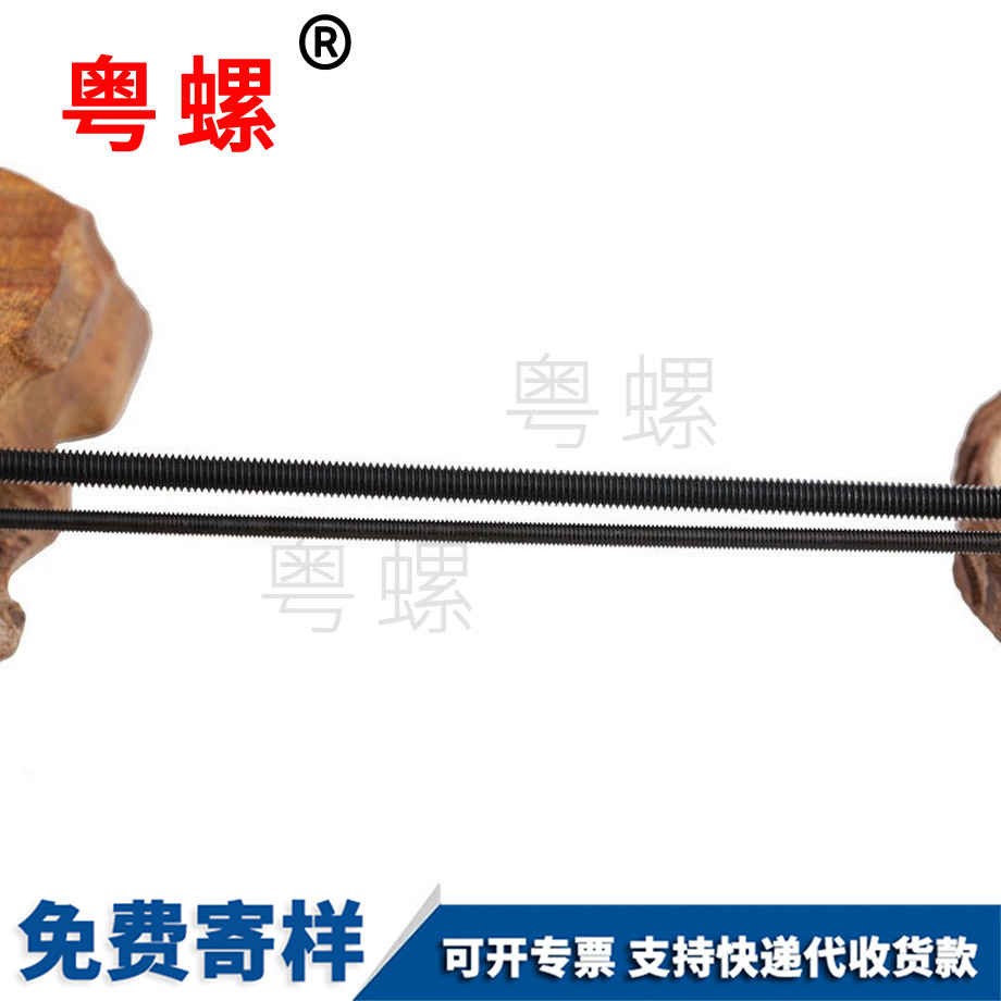 高強(qiáng)度秦皇島絲桿