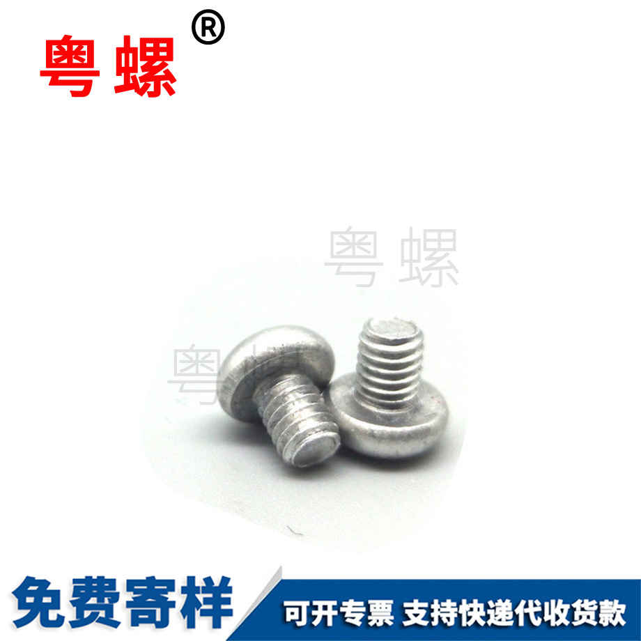 定制非標(biāo)臨滄鋁螺絲