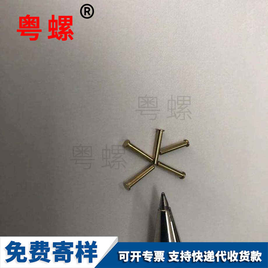 國標(biāo)昌都銅螺釘